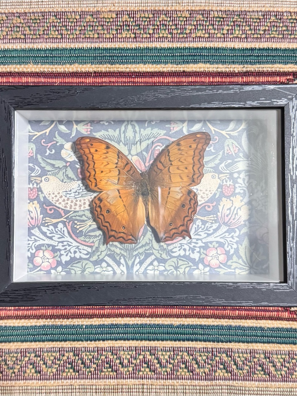 Framed Orange Butterfly Wall Art - Home Accents